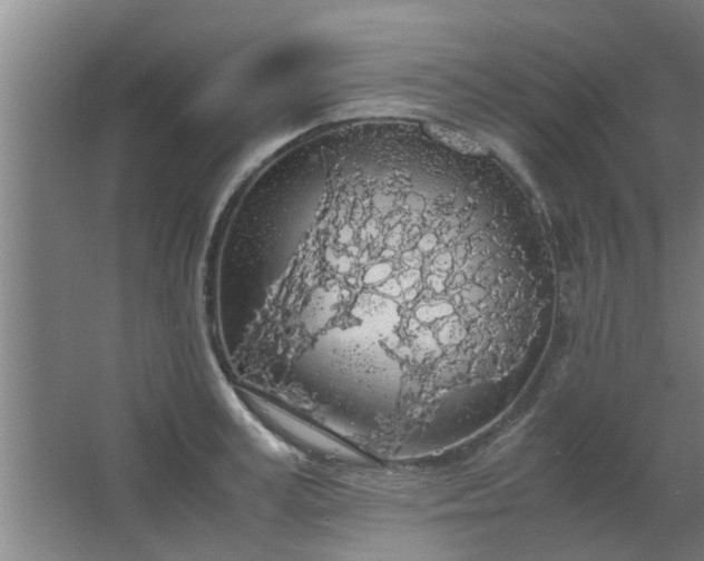 X0000063460995200602031829