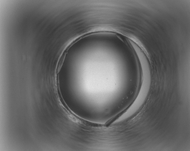 X0000063460996200602031829