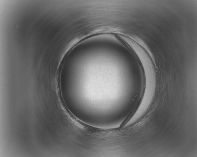 X0000063460997200602031829