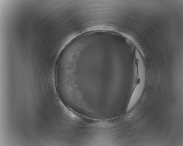 X0000063460998200602031829