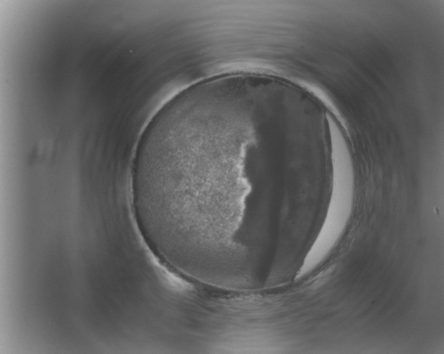 X0000063460999200602031829