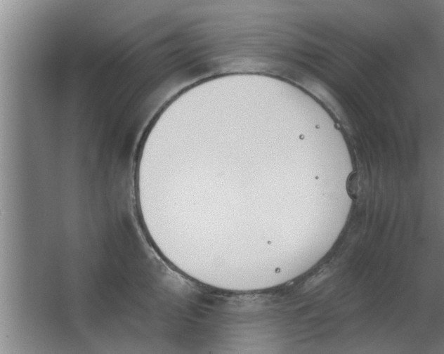 X0000063461000200602031829