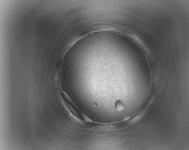 X0000063461001200602031829