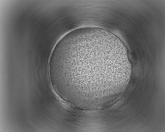 X0000063461004200602031829