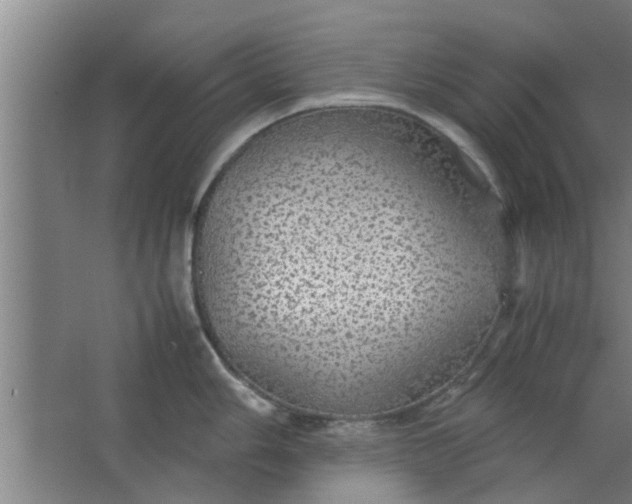 X0000063461006200602031829