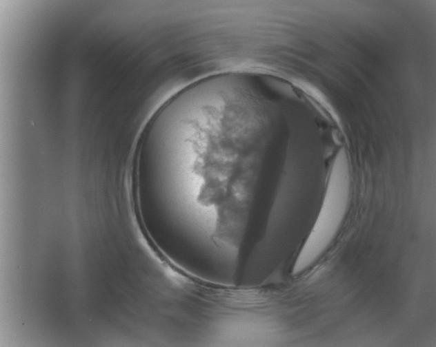 X0000063461007200602031829