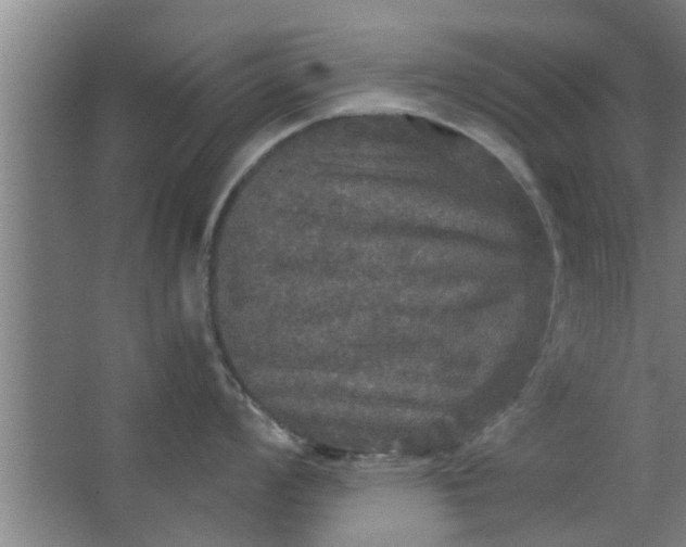 X0000063461008200602031829