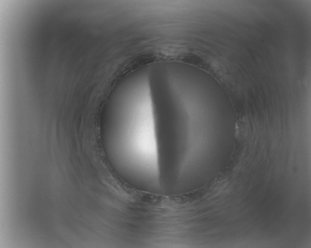 X0000063461009200602031828