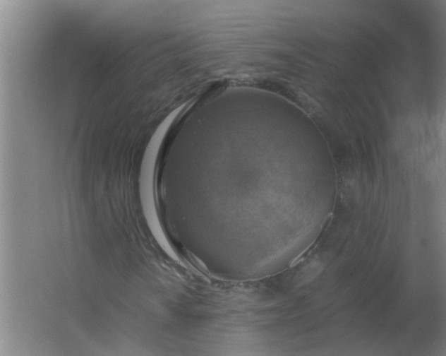 X0000063461010200602031828