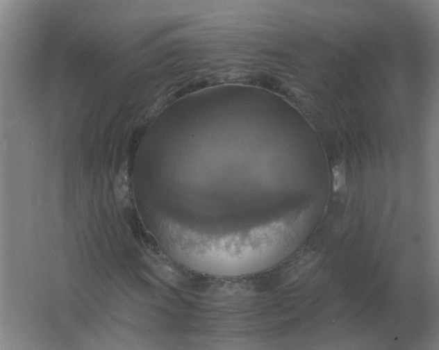 X0000063461011200602031828