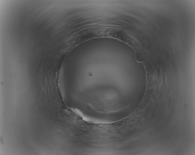 X0000063461013200602031828