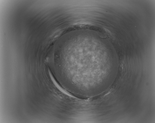 X0000063461014200602031828