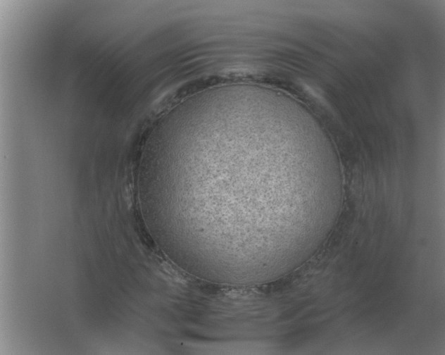 X0000063461015200602031828