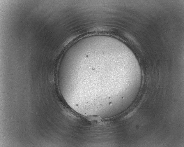 X0000063461017200602031828