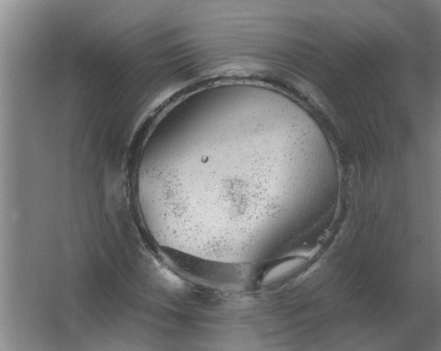 X0000063461018200602031828