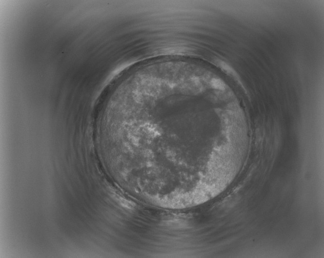 X0000063461019200602031828