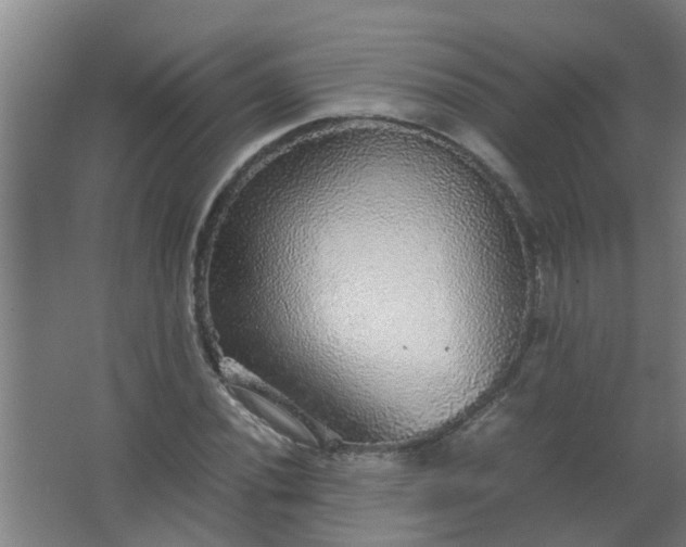 X0000063461020200602031828