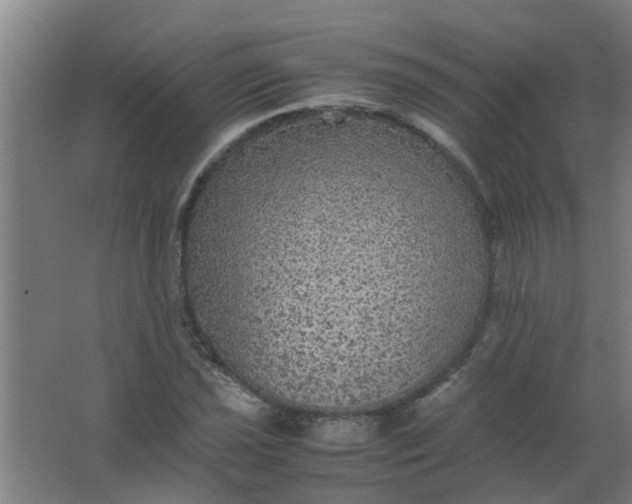 X0000063461021200602031828