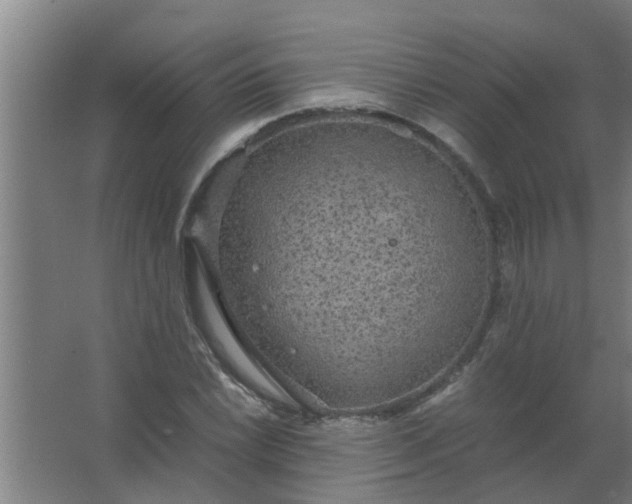 X0000063461022200602031828