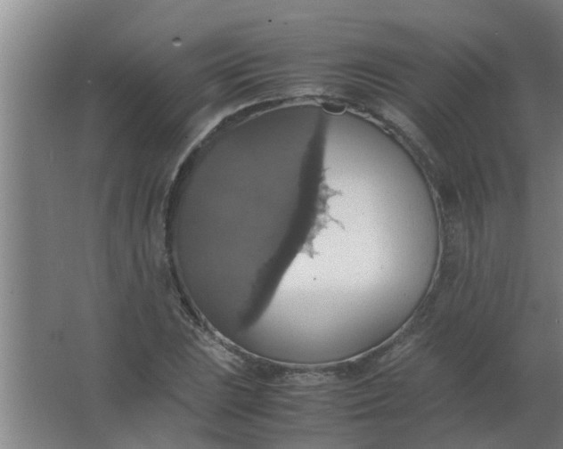 X0000063461023200602031828