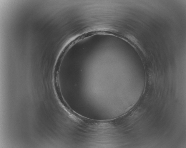 X0000063461024200602031828