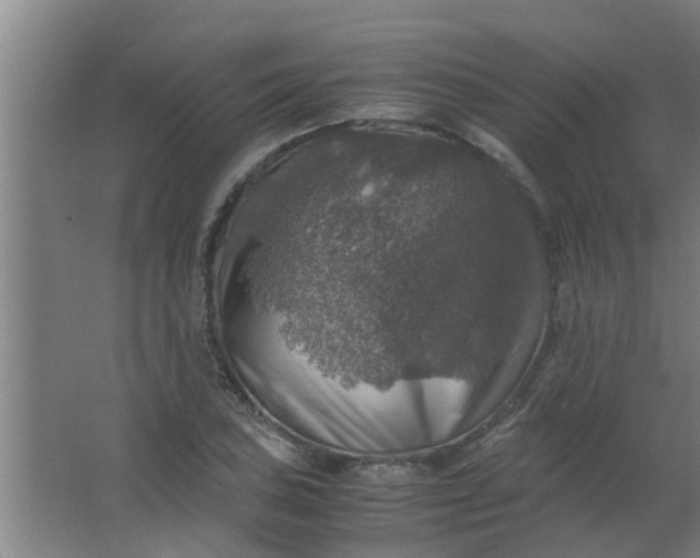 X0000063461027200602031828