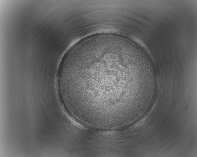 X0000063461029200602031828