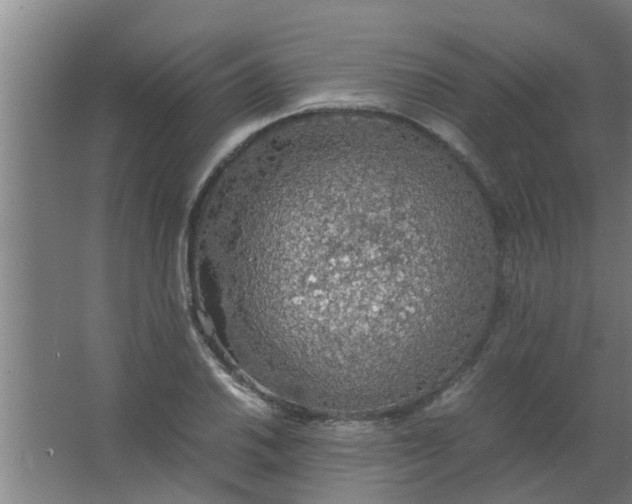 X0000063461030200602031828