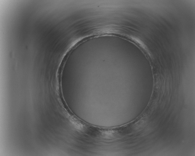 X0000063461031200602031828