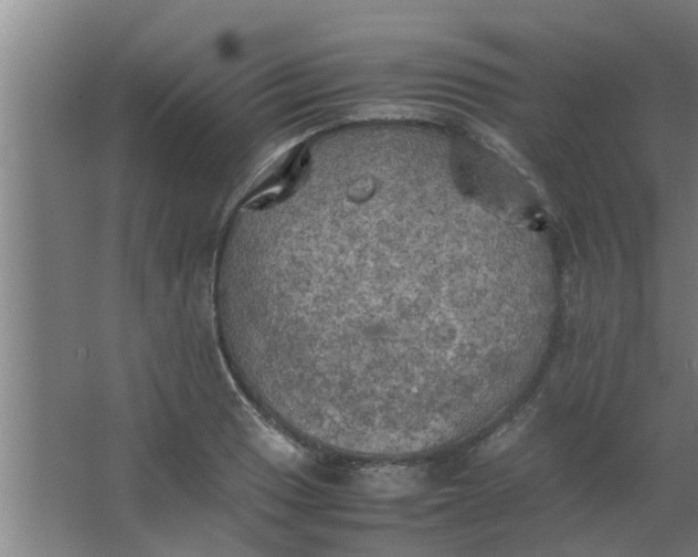 X0000063461033200602031828