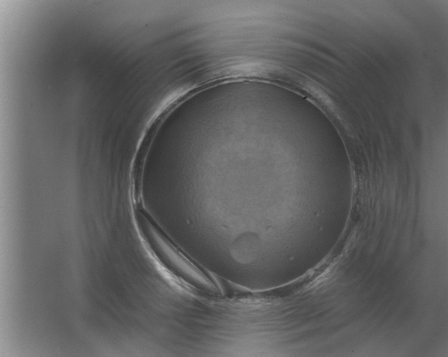 X0000063461034200602031828