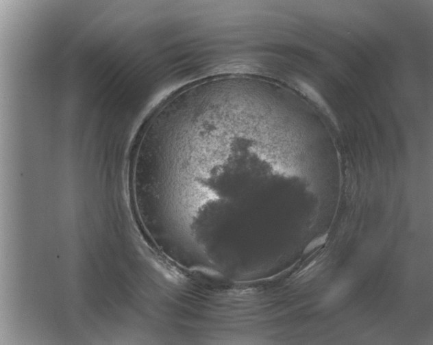 X0000063461035200602031828