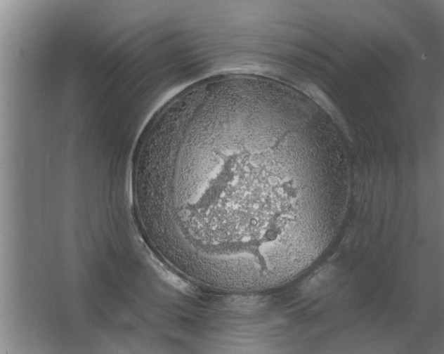 X0000063461036200602031828