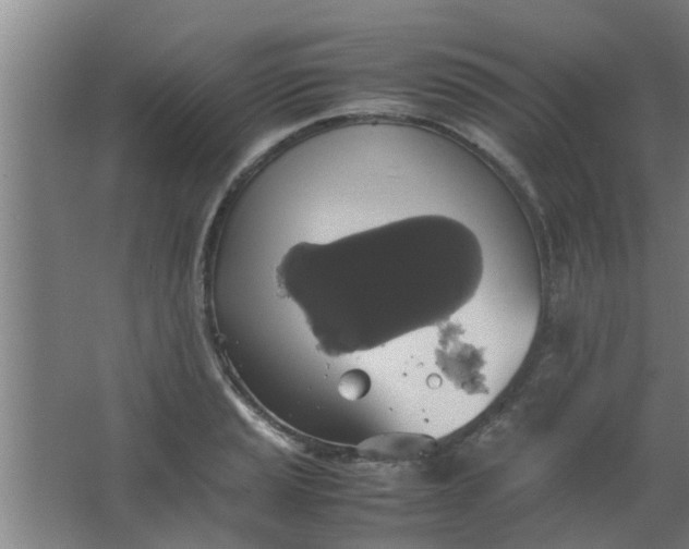 X0000063461037200602031828