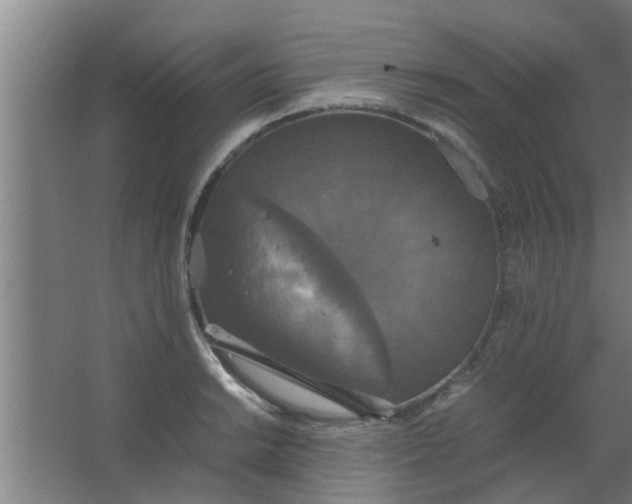 X0000063461038200602031828