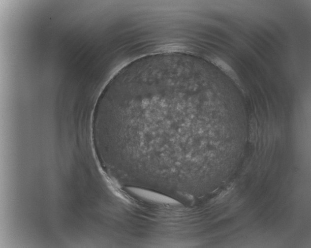 X0000063461039200602031828