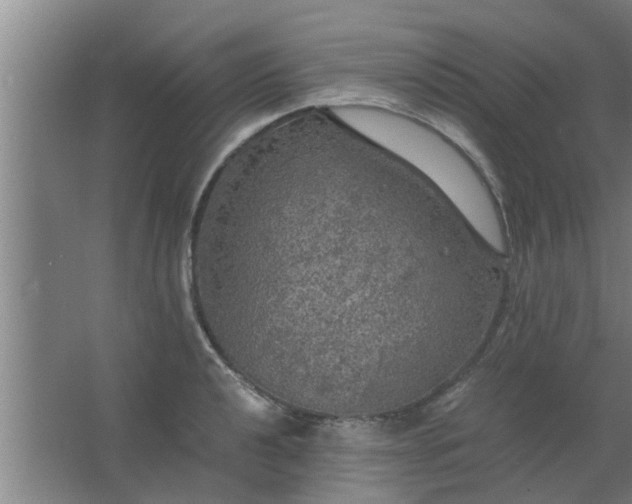 X0000063461040200602031828