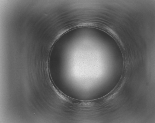 X0000063461041200602031828