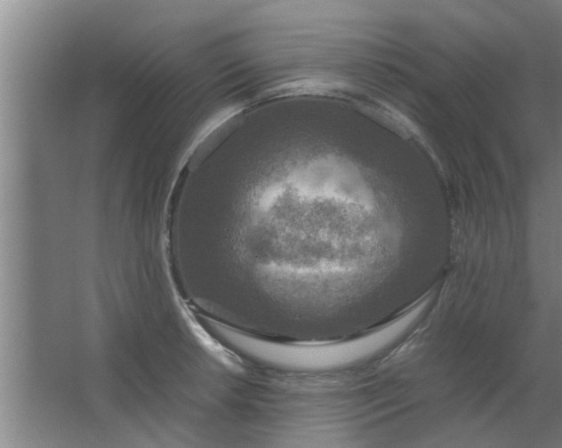 X0000063461042200602031828