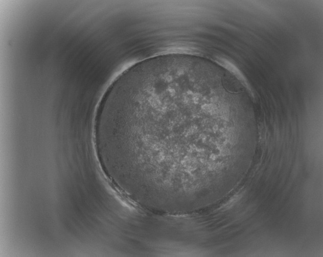 X0000063461043200602031829