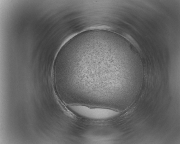 X0000063461044200602031829