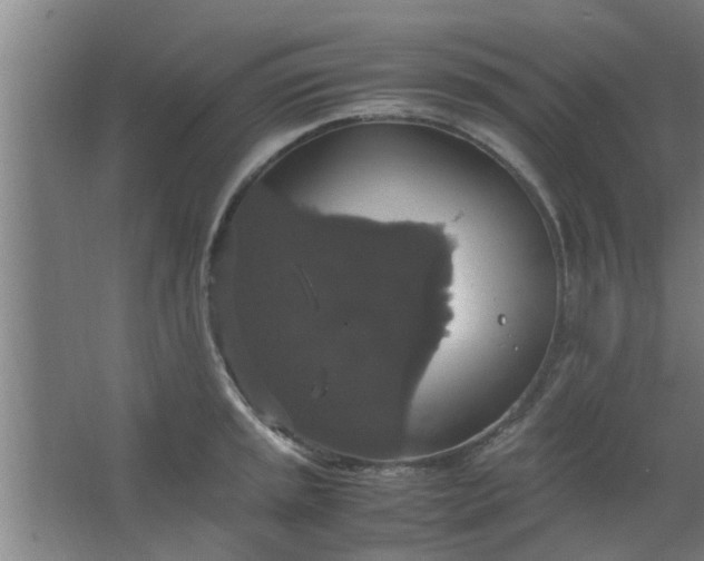 X0000063461045200602031829