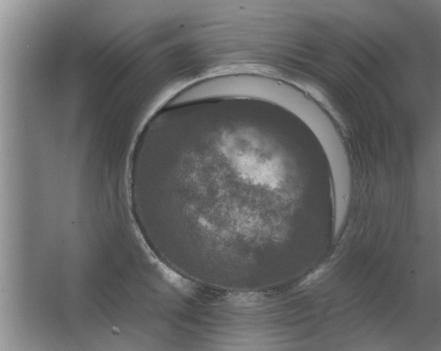 X0000063461046200602031829