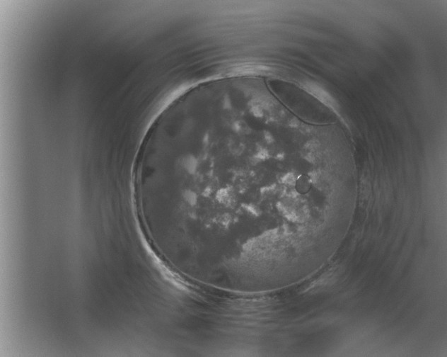 X0000063461047200602031829