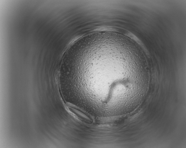 X0000063461049200602031829