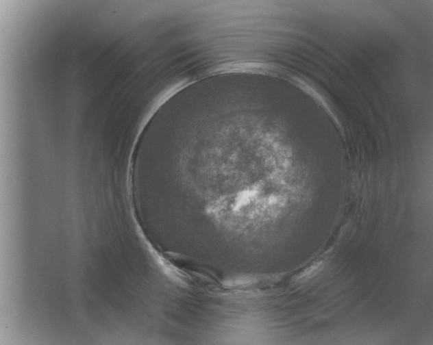 X0000063461050200602031829