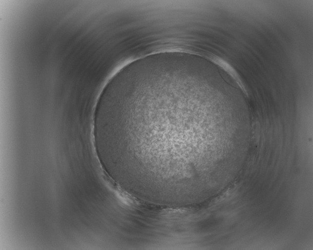 X0000063461051200602031829