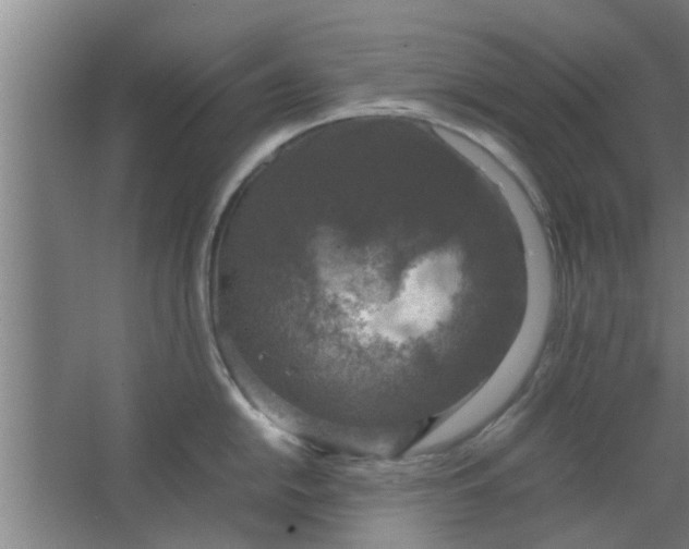 X0000063461054200602031829