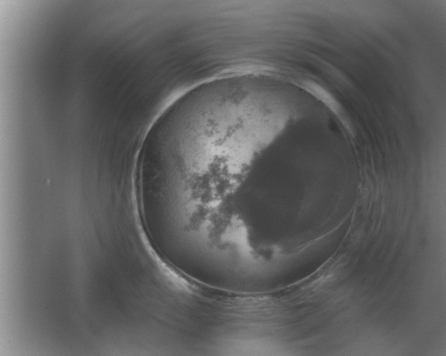 X0000063461055200602031829