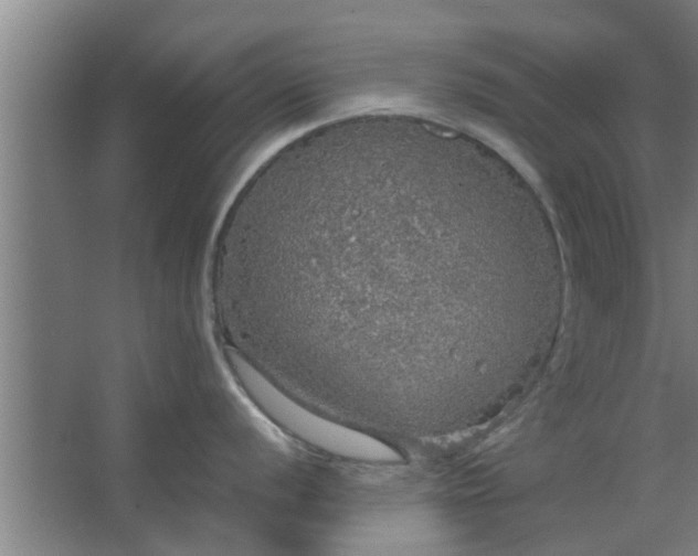 X0000063461056200602031829